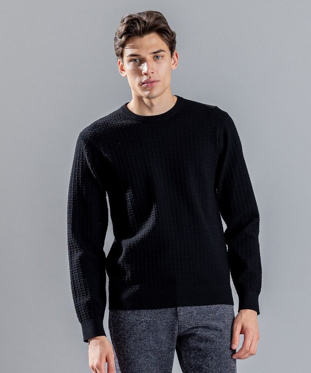 JOSEPH HOMME 【イージーケア】 ヴィスコースリンクス　クルーネックニット ブラック系