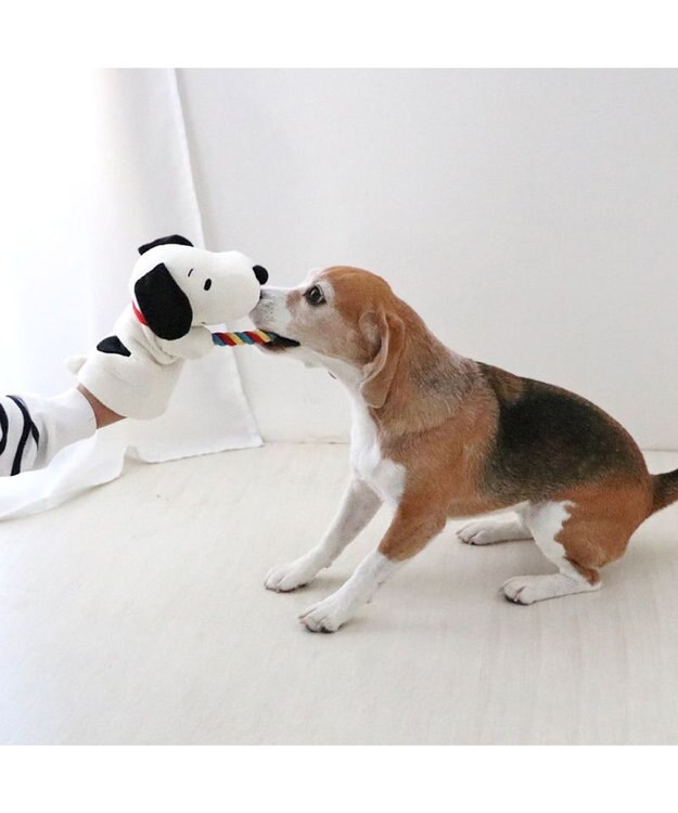 PET PARADISE  スヌーピー ロープ パペット トイ ホワイト
