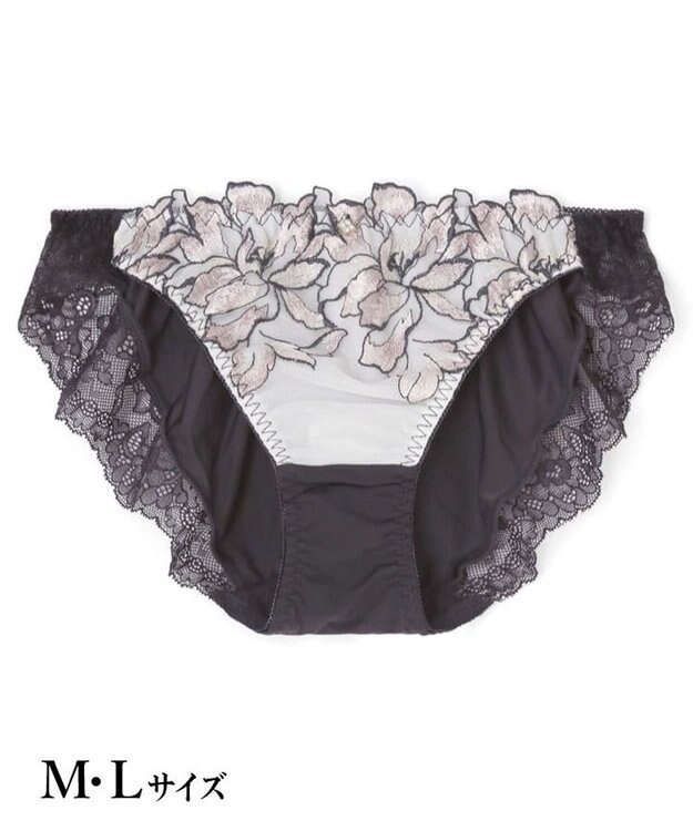 San-ai Resort（三愛水着楽園） エレガントコレクション【2411】ノーマルショーツ 【northerly】 グレー