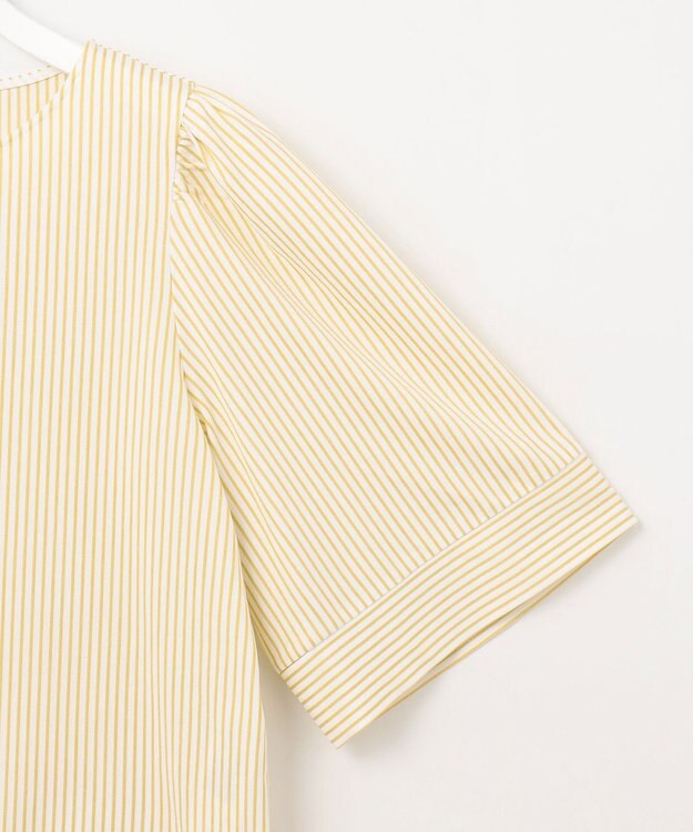 自由区 【洗える】リヨセルコットンストライプ カットソー オフ×ピスタチオ