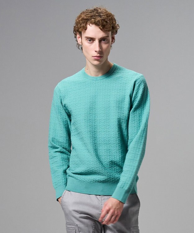 JOSEPH HOMME 新柄【イージーケア】 ヴィスコースリンクス　クルーネックニット スモーキーグリーン系