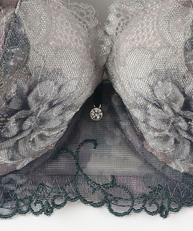 Wing ブラジャー Wing Lesiage サイドすっきり しっかりフィット 【2900シリーズ】 ブラ PB2900 ウイング／ワコール ダークブラウン