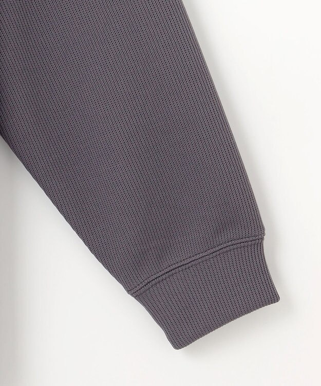 ANY L 【洗濯機可】ダブルフェイスジャージープルオーバー チャコール