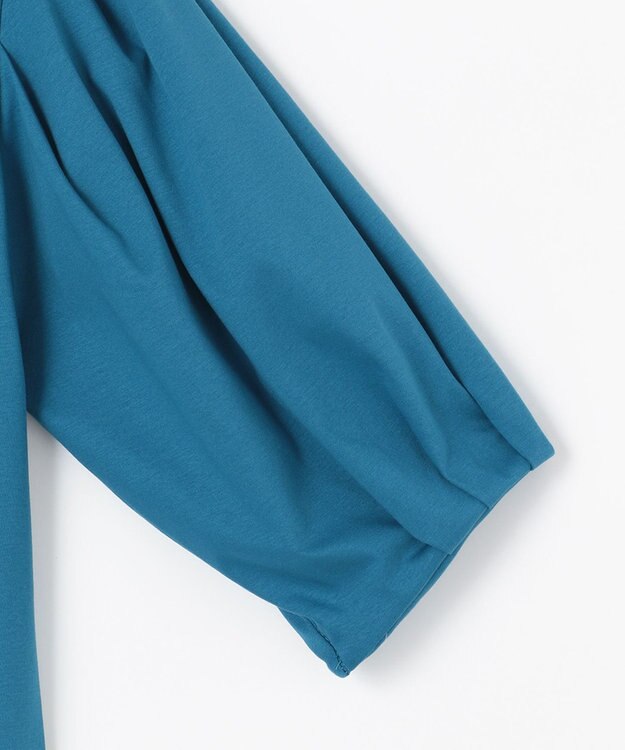 ANY 【WEB限定・接触冷感】シルケットスムース ギャザーパフスリーブトップス ブルー