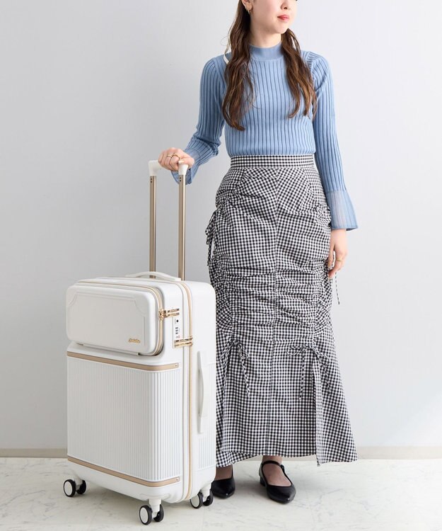 オーギュスト・エルバン、SOLEIL 、海外版超希少レゾネ、新品額付 スーツケース 34L INTERSECT（インターセクト） シルバー GV5-25001