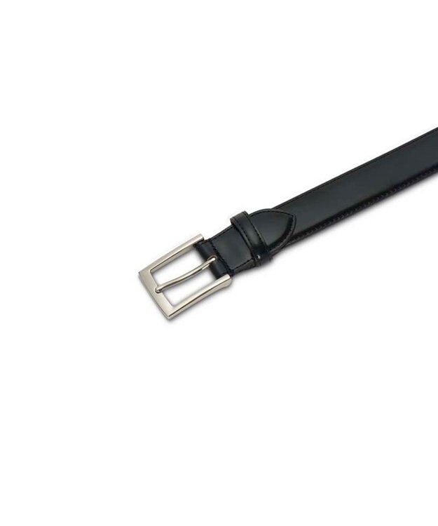 REGAL FOOT COMMUNITY 【リーガル】TS95 プレミアム コードバン ベルト ブラック