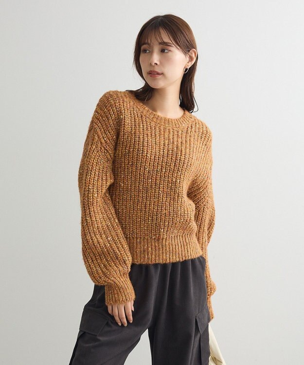 Green Parks ｍｉｘラメショートニットプルオーバー