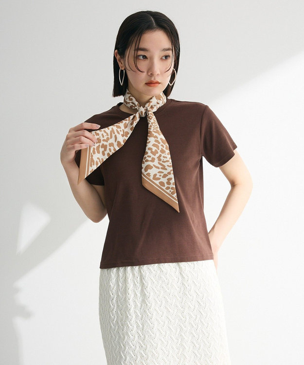 Green Parks フライスコンパクトＴシャツ Brown