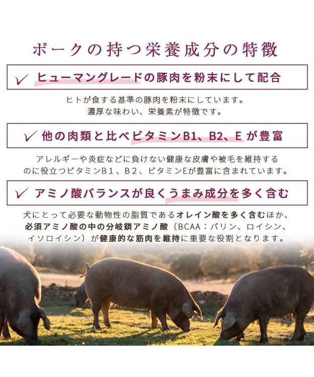 PET PARADISE ≪配合リニューアル≫ ペットパラダイス  国産 ドッグフード フローラ3kg 0