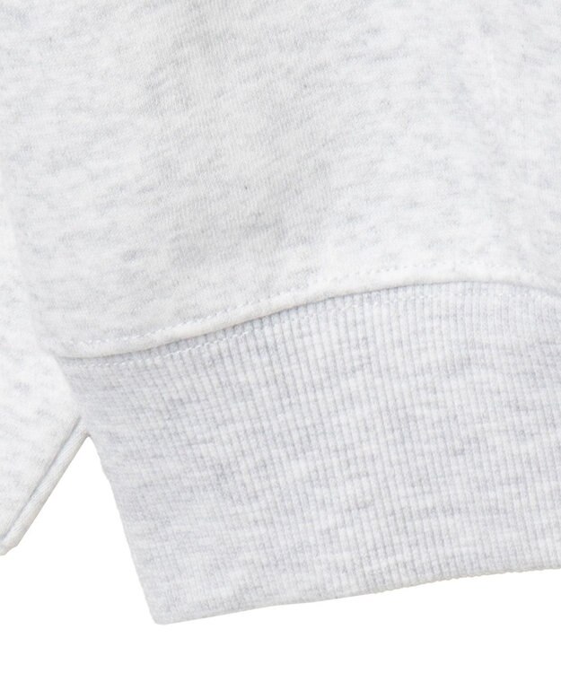 WEGO ワッペンロゴパーカー グレーその他