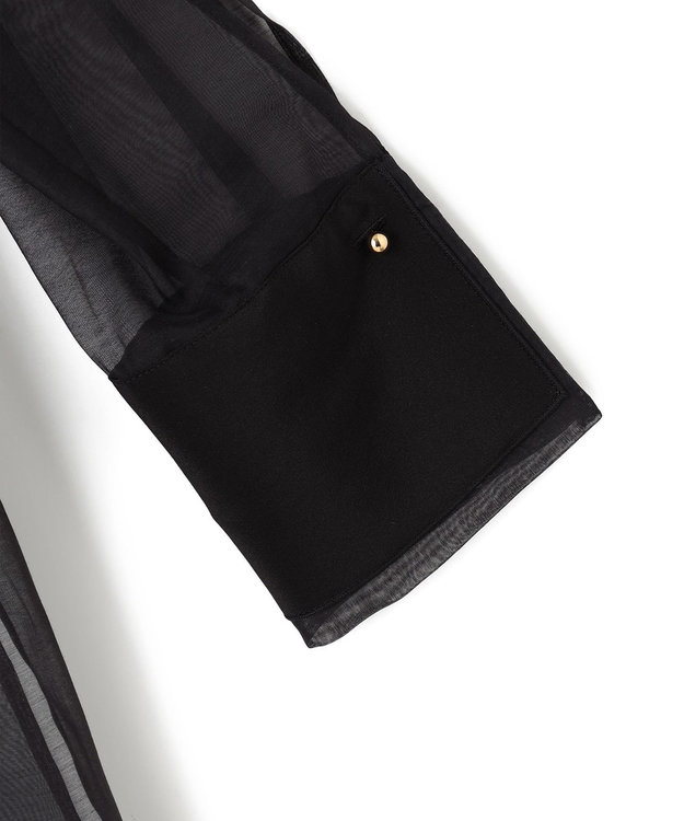 BEIGE， 【WEB限定】SAPHIR / シアーブラウス Black