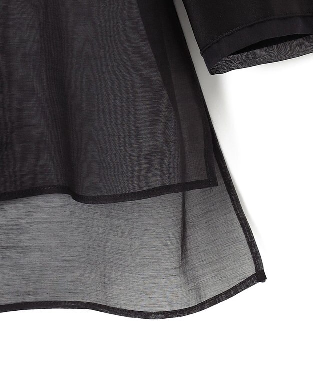 BEIGE， 【WEB限定】SAPHIR / シアーブラウス Black