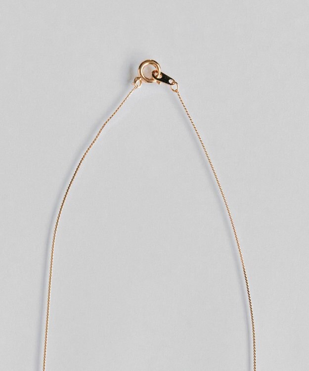 Phoebe 【金属アレルギー対応】シャインベゼルセッティングネックレス　シャンパンゴールド シャンパンゴールド