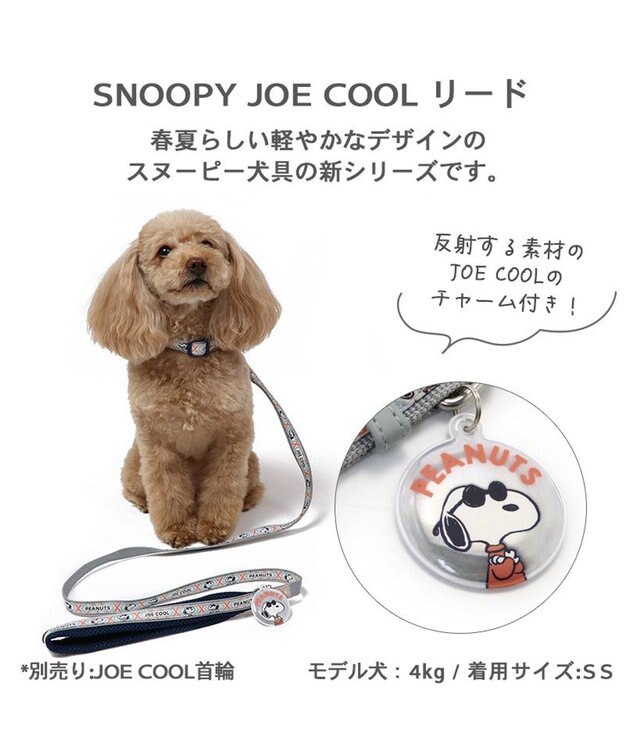 PET PARADISE 犬 スヌーピージョークール 反射 お揃いリード  【４Ｓ~３Ｓ】 青