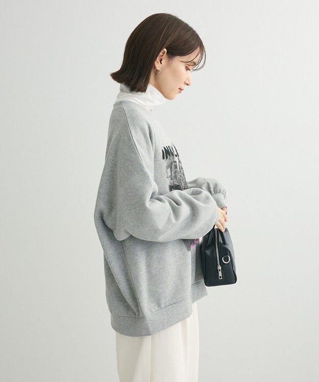 Green Parks ・ＤＯＵＢＬＥ　ＦＬＡＧＳ　フォトｐｔスウェット Gray Mixture