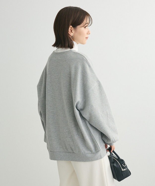 Green Parks ・ＤＯＵＢＬＥ　ＦＬＡＧＳ　フォトｐｔスウェット Gray Mixture