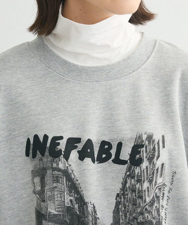 Green Parks ・ＤＯＵＢＬＥ　ＦＬＡＧＳ　フォトｐｔスウェット Gray Mixture