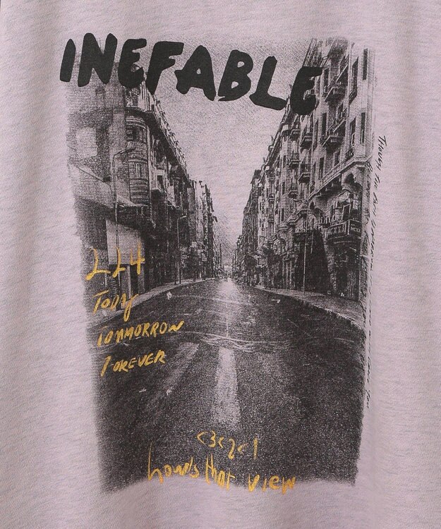 Green Parks ・ＤＯＵＢＬＥ　ＦＬＡＧＳ　フォトｐｔスウェット Lavender