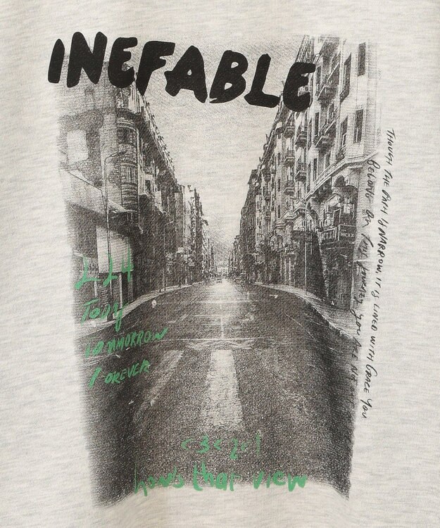 Green Parks ・ＤＯＵＢＬＥ　ＦＬＡＧＳ　フォトｐｔスウェット Oatmeal