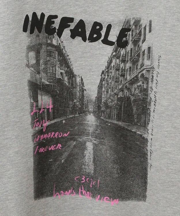 Green Parks ・ＤＯＵＢＬＥ　ＦＬＡＧＳ　フォトｐｔスウェット Gray Mixture