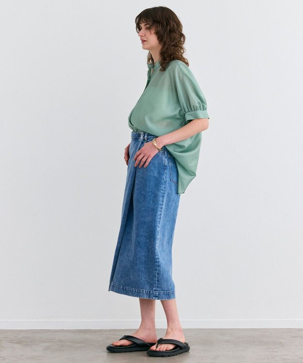 BEIGE， 【洗える】AMARYLLIS / シアーパフオーバーサイズブラウス Green