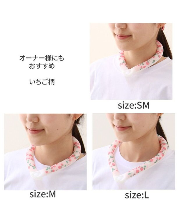 PET PARADISE ペットパラダイス 28℃クールリング SUO 《いちご柄》 〔ＳＭ〕 中型犬 いちご