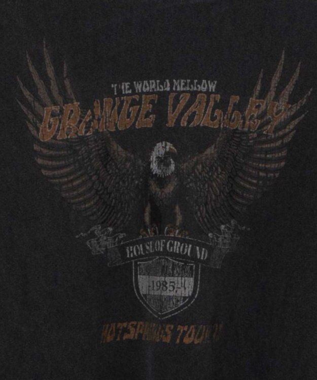 WEGO ピグメントロンT 柄5