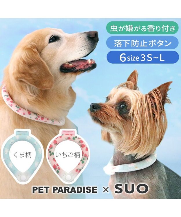 PET PARADISE ペットパラダイス 28℃クールリング SUO 《いちご柄》 〔ＳＭ〕 中型犬 いちご