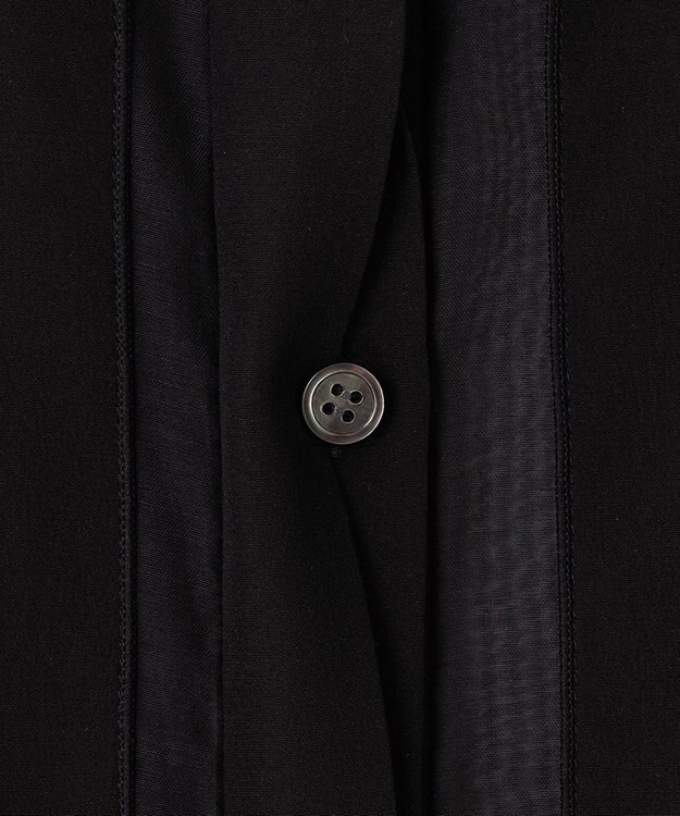 BEIGE， 【WEB限定】SAPHIR / シアーブラウス Black