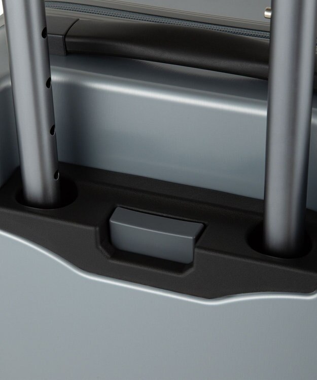 ACE BAGS & LUGGAGE PROTECA フリーウォーカーGLd スーツケース 機内持ち込み 34L 08541 プロテカ ダークシルバー