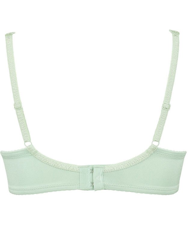 Wing Wing Lesiage 【3000シリーズ】 PB3000 ウイング／ワコール メロン