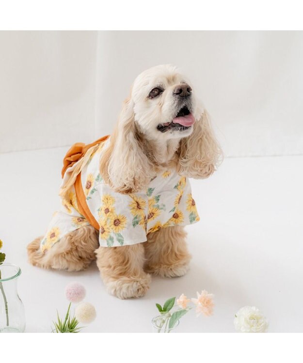 PET PARADISE ペットパラダイス ひまわり柄 浴衣 中型犬 大型犬 ホワイト×イエロー