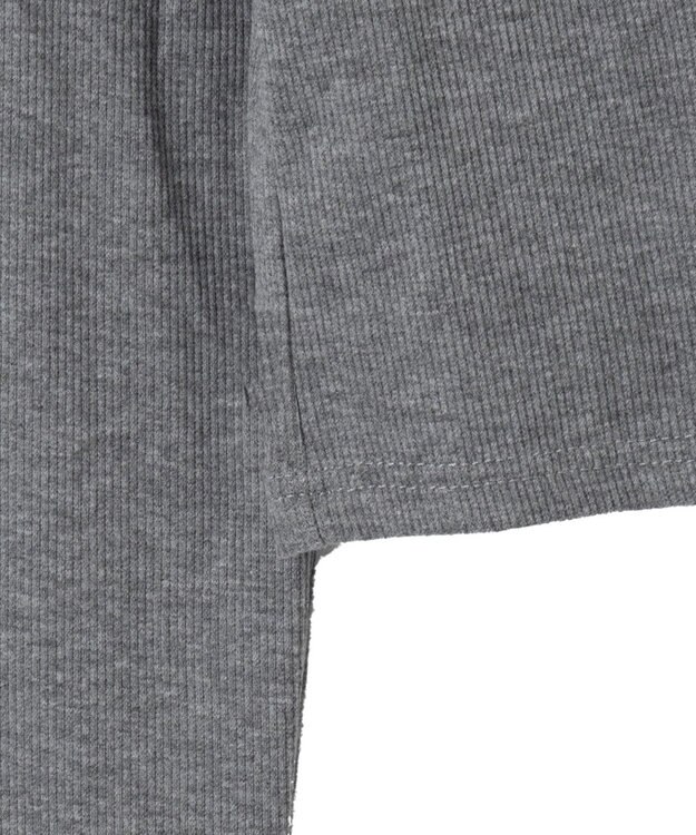 WEGO WジップナンバリングロゴロンT グレー