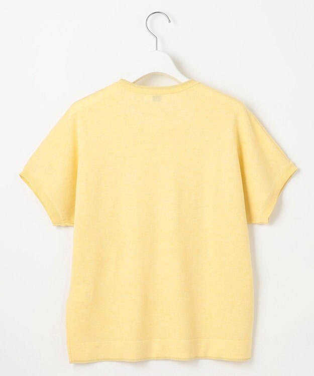 J.PRESS LADIES 【WEB限定カラーあり・洗える】Vis/Peスパーク ラメ ニット イエロー系