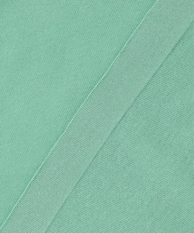 ANY シアーシャーリングスリーブニット グリーン