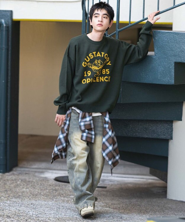 WEGO 【ユニセックス着用ITEM/SMLサイズ展開】ジャガードグラフィックプルオーバー ダークグリーン