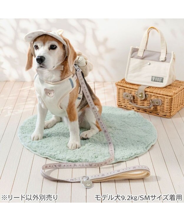 PET PARADISE ペットパラダイス くまチャームリード Ｍ～Ｌ ベージュ