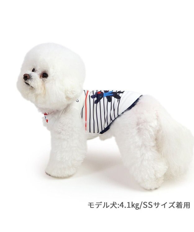 PET PARADISE リサとガスパール エコメイド タンクトップ 《ボーダー》 小型犬 ボーダー