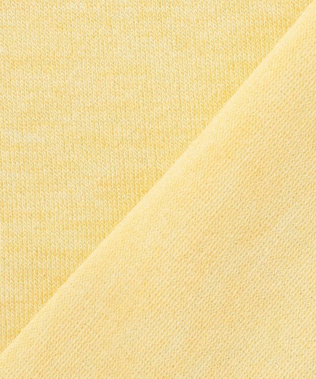 J.PRESS LADIES 【WEB限定カラーあり・洗える】Vis/Peスパーク ラメ ニット イエロー系