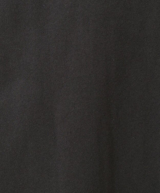 Green Parks ■ＦＥＬＩＸ　袖フェイスｐｔ　ロンＴＥＥ Charcoal Gray