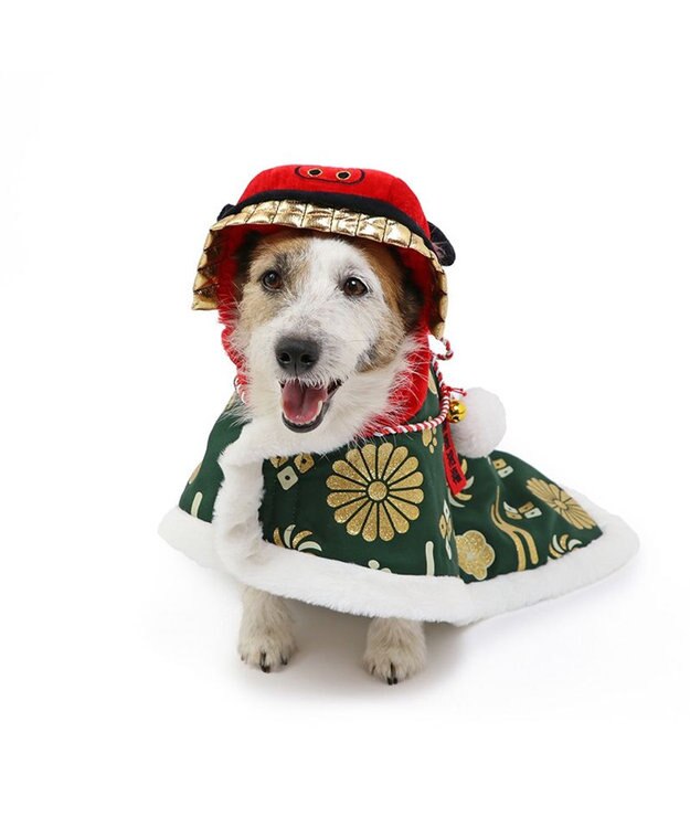 PET PARADISE ペットパラダイス 獅子舞 コート 小型犬 緑