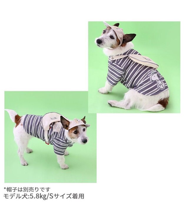 PET PARADISE スヌーピー お揃いTシャツ マルチボーダー 《グレー》 小型犬 グレー