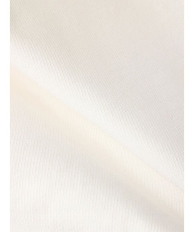 AMERICAN HOLIC Ｓｔａｎｄ　ｓｔｉｌｌ　転写カットプルオーバー B