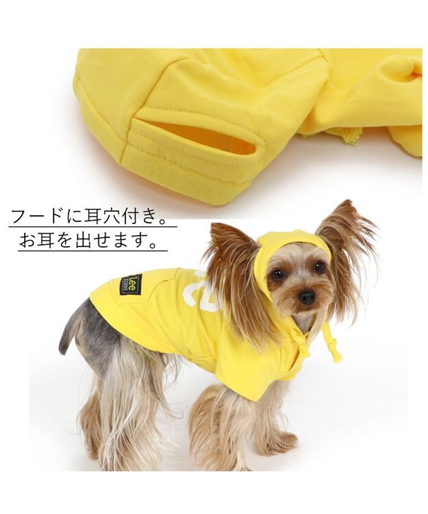 PET PARADISE 犬の服 犬 服 秋冬 Ｌｅｅ パーカー 【小型犬】 白 ロゴ レッド イエロー 黄