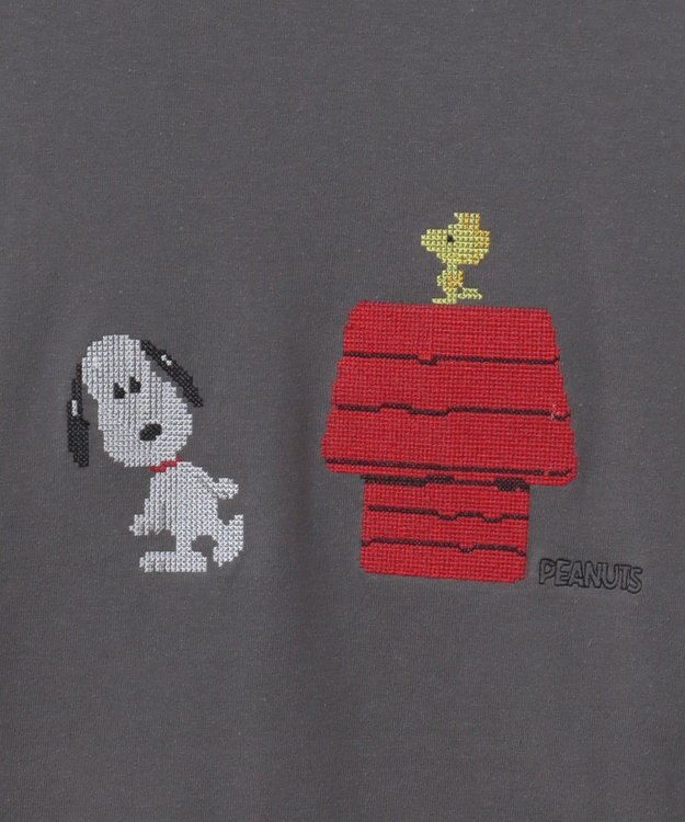 Green Parks ■ＰＥＡＮＵＴＳ　クロスステッチロンＴ Charcoal Gray