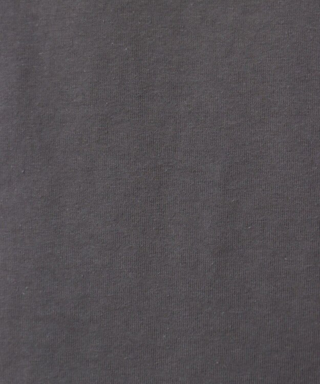 Green Parks ■ＰＥＡＮＵＴＳ　クロスステッチロンＴ Charcoal Gray