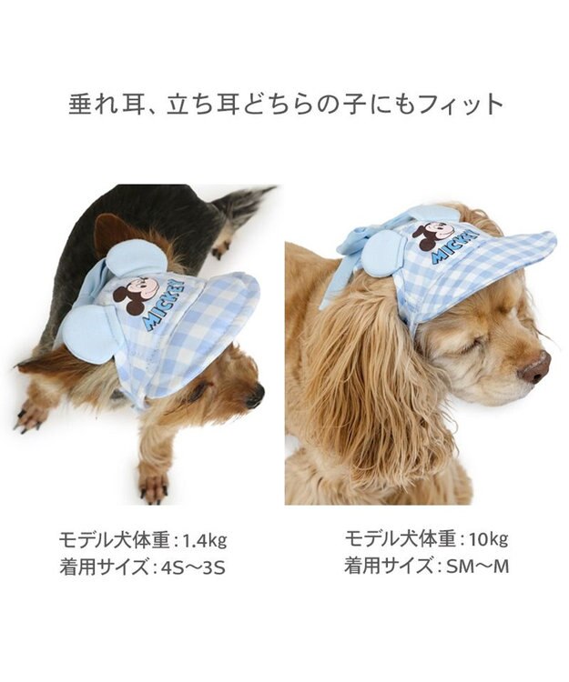 PET PARADISE ディズニー ミッキーマウス なかよし キャップ 《ブルー》 小型犬 ライトブルー