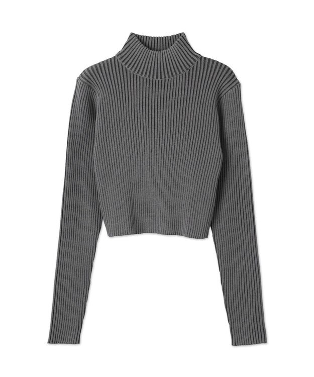 WEGO リブハイネックショートニット スミクロ