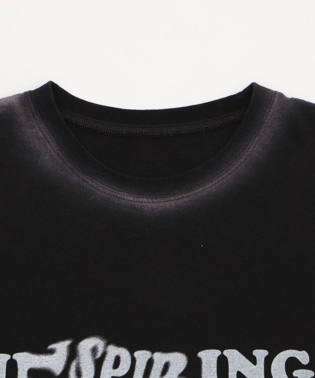 WEGO スプレーグラフィックBIGT ブラック