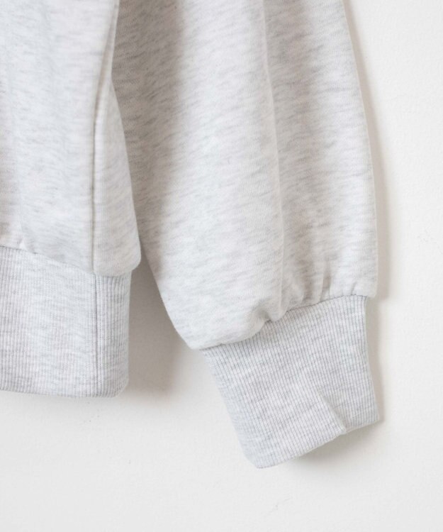 WEGO 【ユニセックス着用ITEM】別注　U.S POLO ASSN.　ハーフZIPPO グレーその他